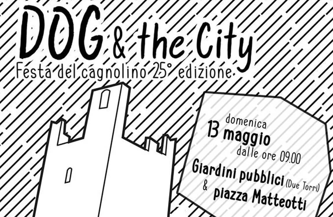 Dog & the city